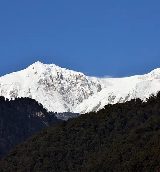 Himalayan Giants