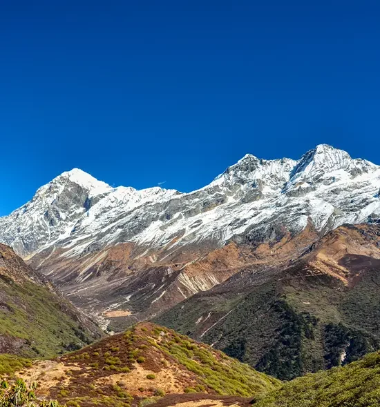 Alpine Majesty