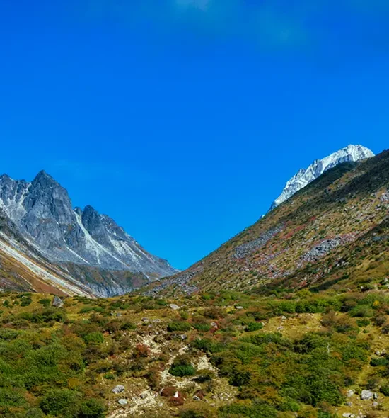 Wild Valley