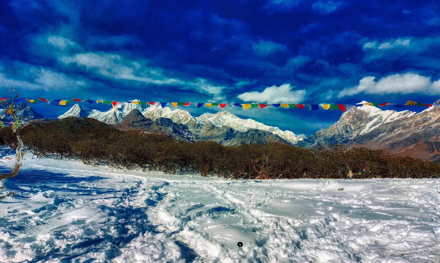 Colorful prayer flags over a snowy trail with Mount Kanchenjunga in the distance on the Dzongri Trek.