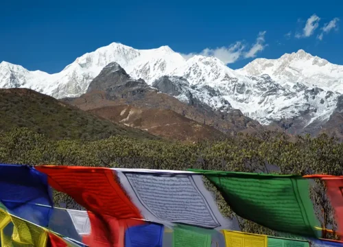 Dzongri Trek