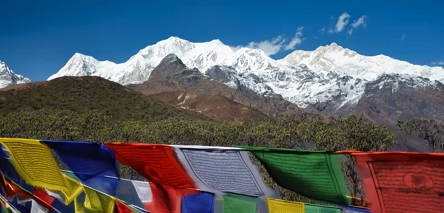 Stunning view of the snow-capped Kanchenjunga range captured near Dzongri and Deorali in West Sikkim, with colorful Buddhist prayer flags in the foreground. The clear blue sky and rugged Himalayan peaks highlight the serene beauty of the Goechala trek route, one of the best high-altitude trekking experiences in India.