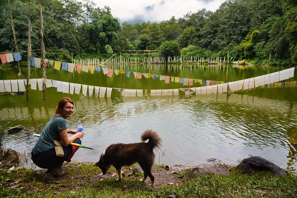 A visitor and a dog at the prayer flag-draped Kathok Lake, surrounded by lush forests in Yuksom, West Sikkim.