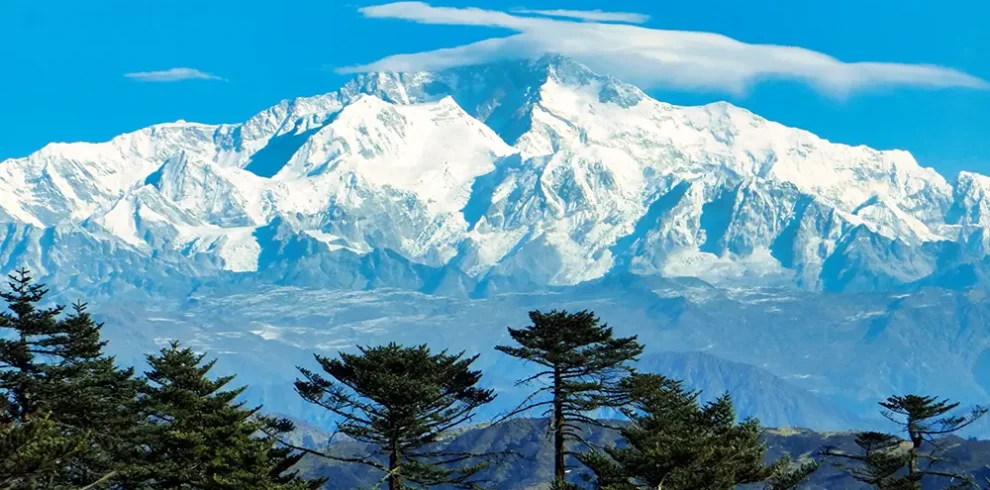 Snow-capped Mt. Kanchenjunga rising above evergreen trees, a scenic view on the Sandakphu Trek from Darjeeling.