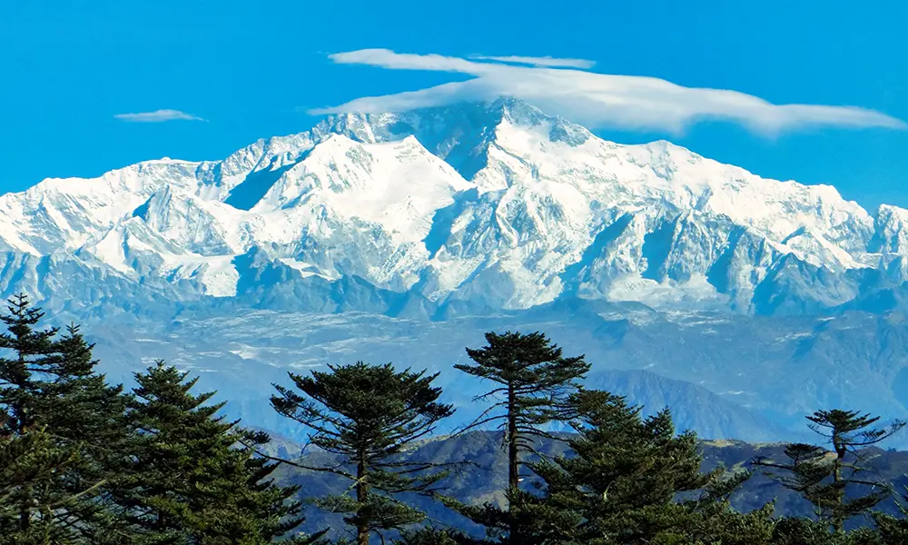 Snow-capped Mt. Kanchenjunga rising above evergreen trees, a scenic view on the Sandakphu Trek from Darjeeling.